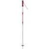 Batons Rossignol Electra Jr Pink 2 Batons Rossignol Electra Jr Pink -Ski Alpin Magasin batons rossignol electra jr pink