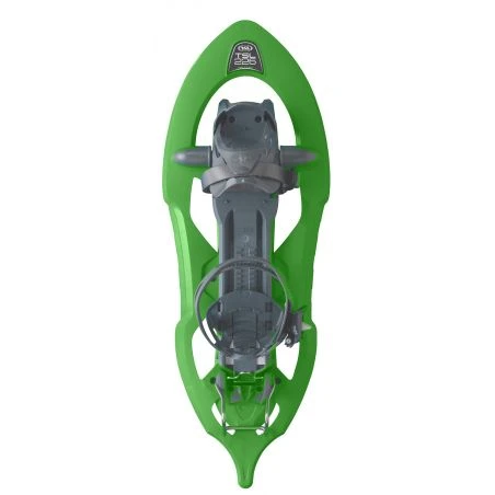 TSL 226 Cactus 4 TSL 226 Cactus – Image 2