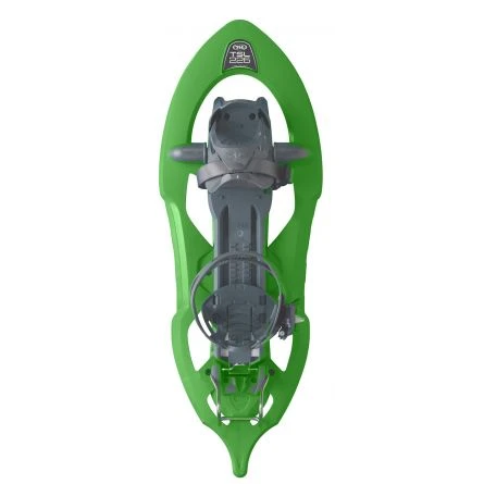 TSL 226 Cactus 3 TSL 226 Cactus